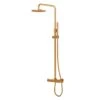 Steinberg Serie 100 Brauseset Komplett Rose Gold